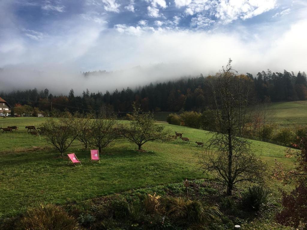Schwarzwild - Ferienwohnung Und Ferienzimmer Baiersbronn Exteriör bild