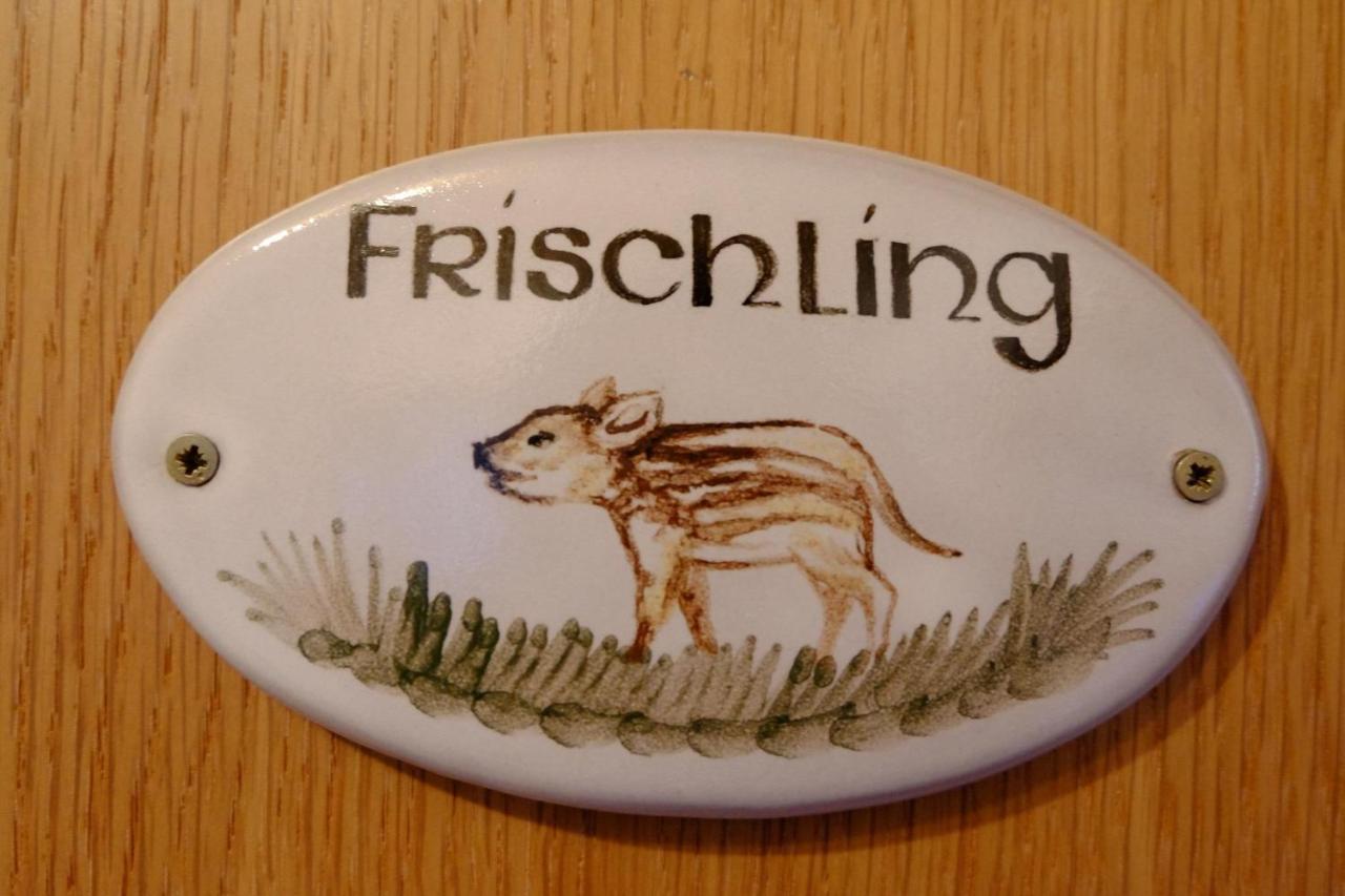 Schwarzwild - Ferienwohnung Und Ferienzimmer Baiersbronn Exteriör bild