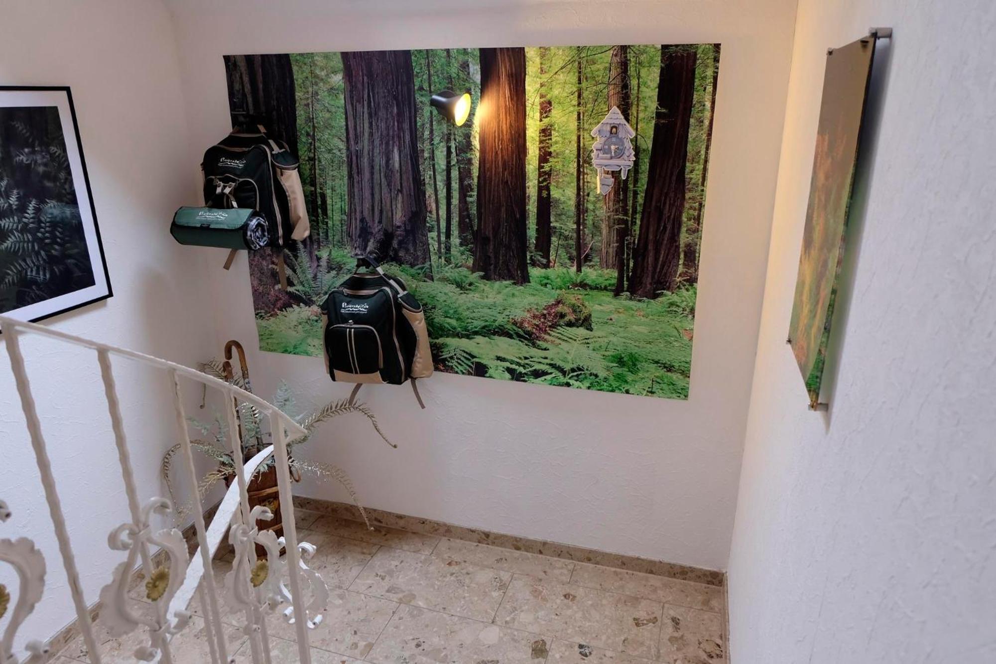 Schwarzwild - Ferienwohnung Und Ferienzimmer Baiersbronn Exteriör bild