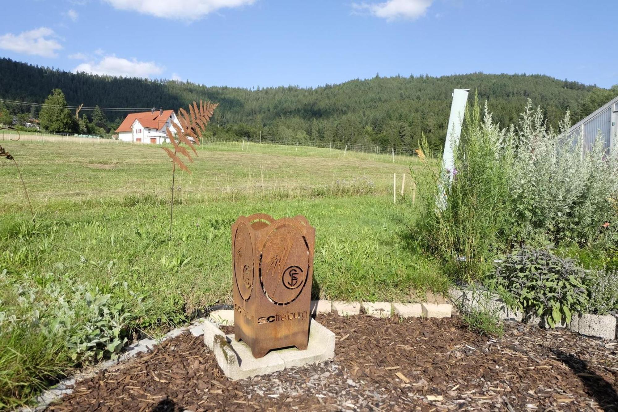 Schwarzwild - Ferienwohnung Und Ferienzimmer Baiersbronn Exteriör bild