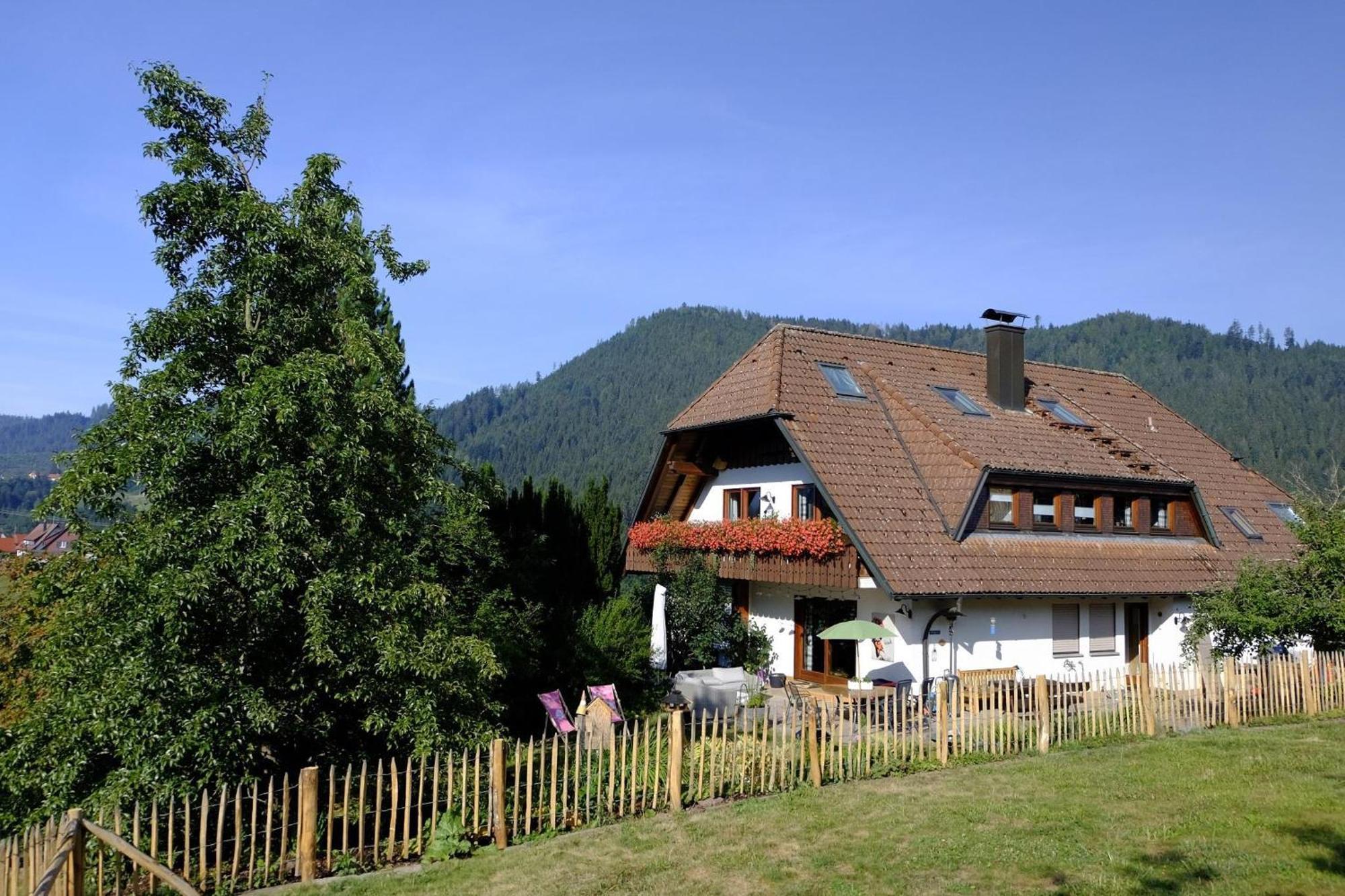 Schwarzwild - Ferienwohnung Und Ferienzimmer Baiersbronn Exteriör bild